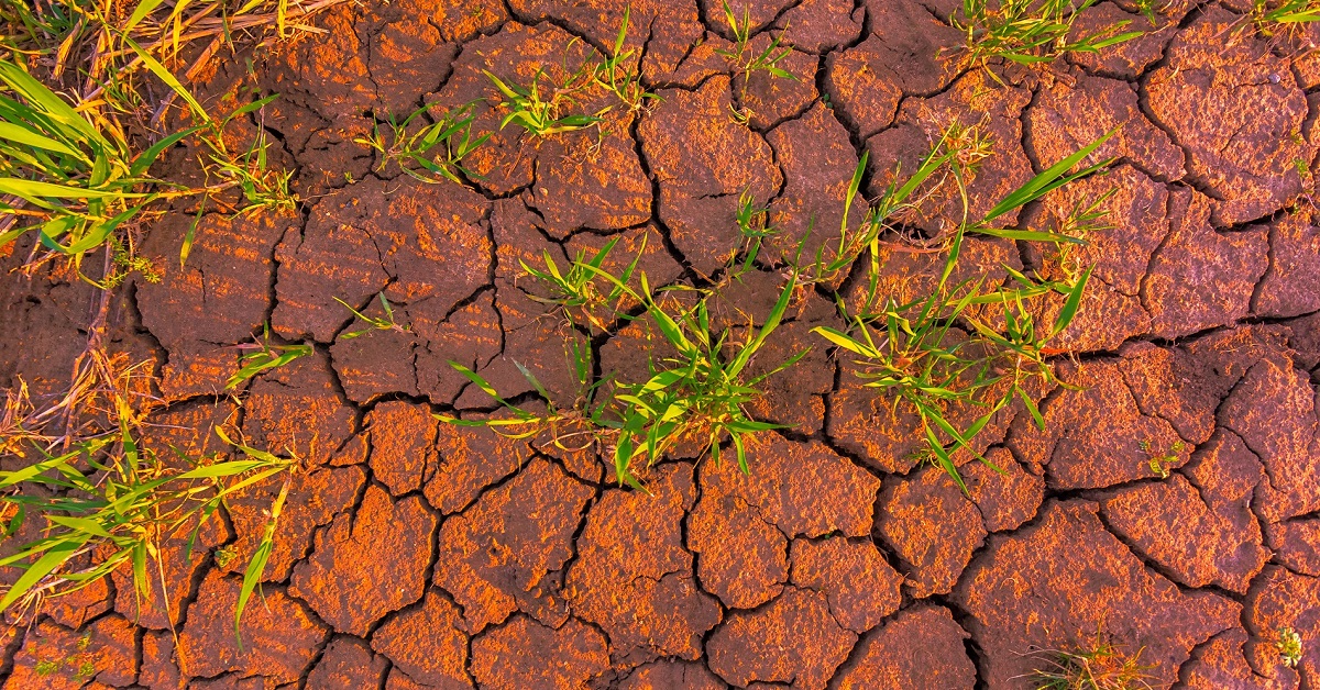 Cómo reducir la compactación del suelo agrícola Blog Aepla