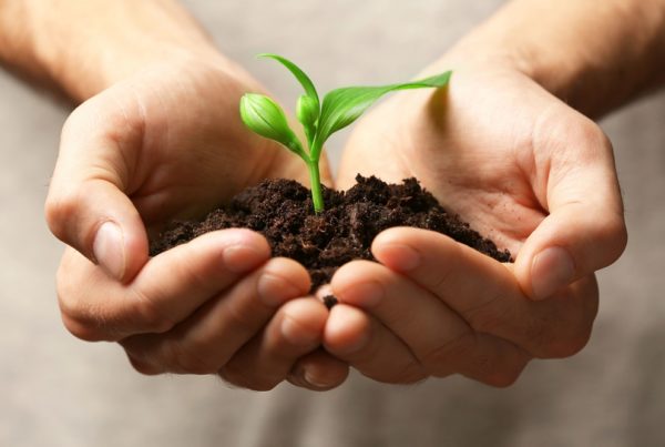 agricultura desarrollo rural empleo españa vaciada aepla