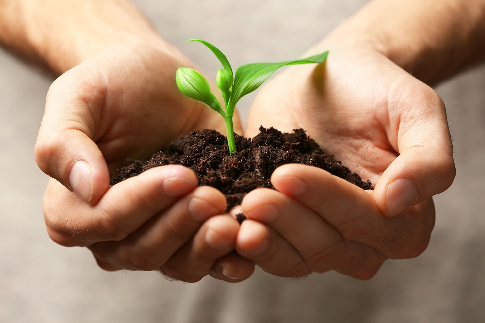 agricultura desarrollo rural empleo españa vaciada aepla