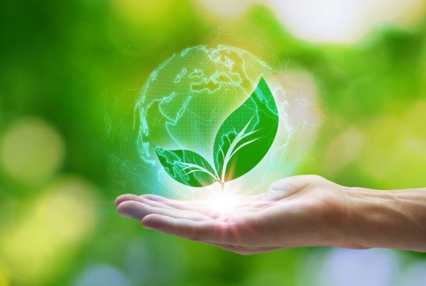 reciclaje de residuos buenas prácticas agrícolas agricultura aepla