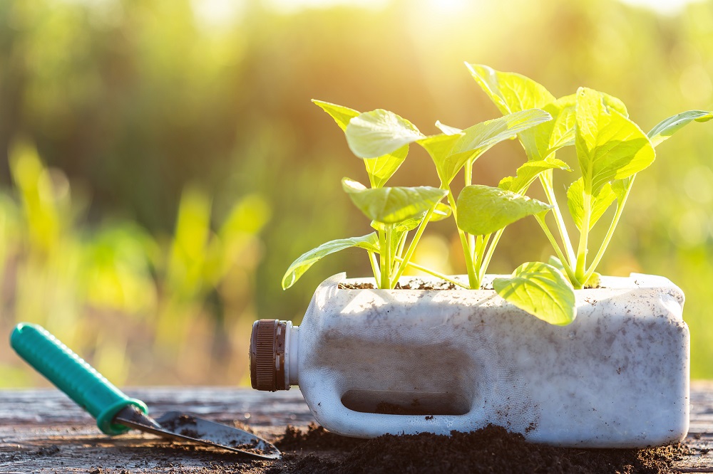 reciclaje de residuos buenas prácticas agrícolas medio ambiente seguridad alimentaria sigfito aepla