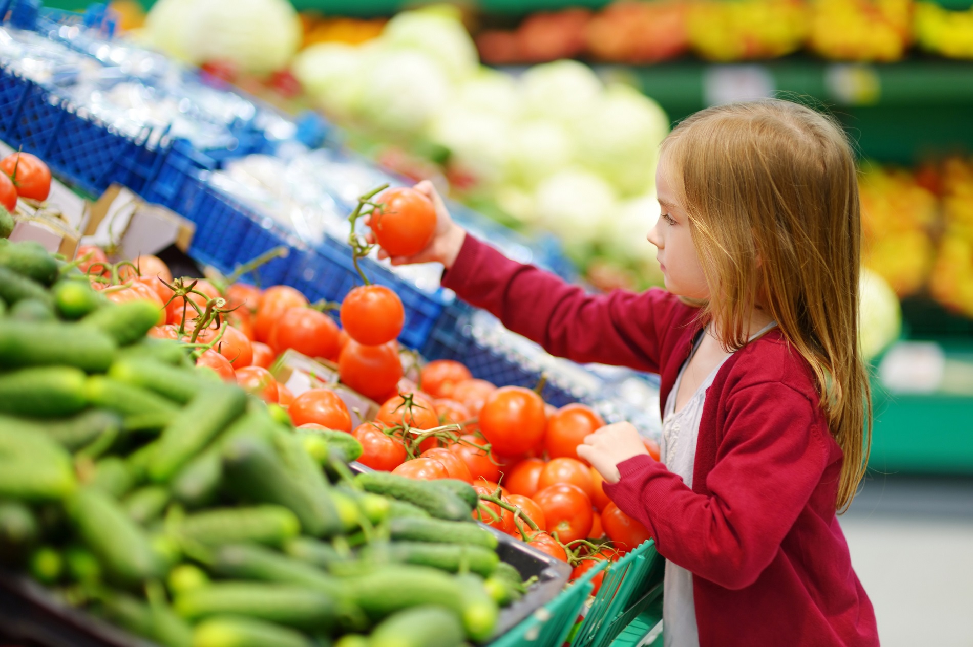 La sanidad vegetal como factor clave para garantizar los derechos de los consumidores