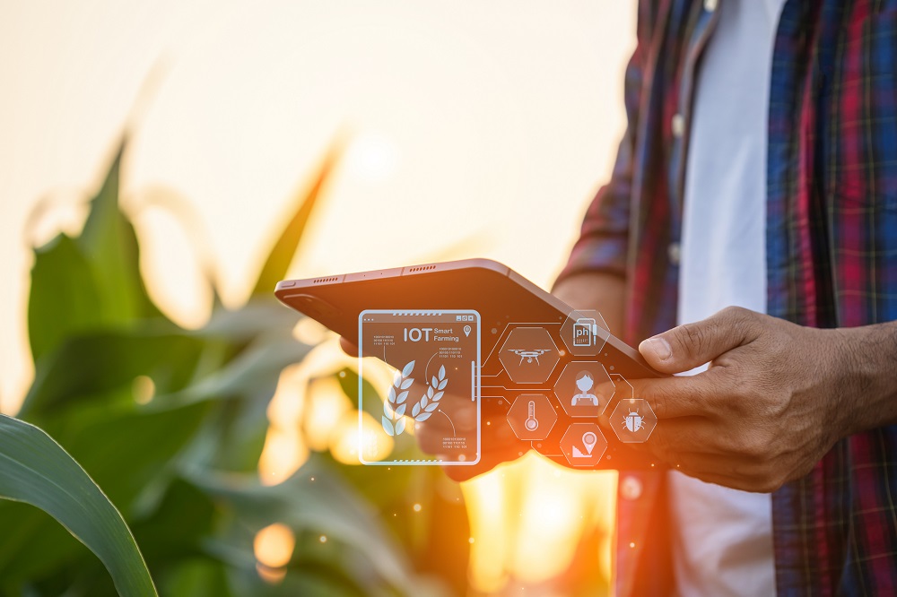 big data inteligencia artificial control de plagas sanidad vegetal prevención de enfermedades cosecha producción agrícola agricultura de precisión productos fitosanitarios aepla