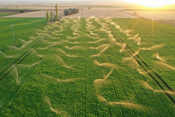 buenas prácticas agrícolas agua de riego irrigación sostenibilidad recursos hídricos escorrentía percolación agricultura aepla