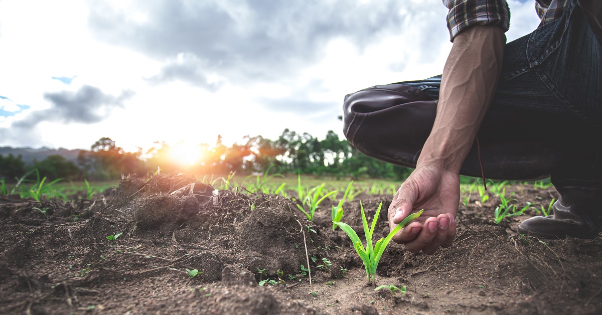 Buenas Prácticas Agrícolas Rotación De Cultivos Blog Aepla 5818