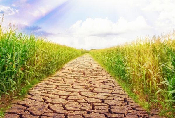 cambio climático agricultura buenas prácticas medio ambiente concienciación huella hídrica sanidad vegetal aepla