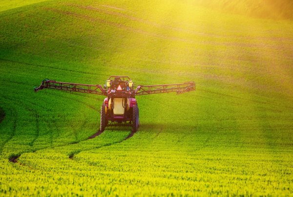 sector agrícola sanidad vegetal productos fitosanitarios futuro agricultura aepla
