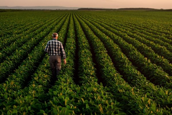 sanidad vegetal seguridad alimentaria competitividad agricultura productos fitosanitarios aepla