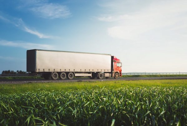 tolerancia en las importaciones comercio internacional sanidad vegetal productos fitosanitarios límite máximo de residuos seguridad alimentaria agricultura aepla