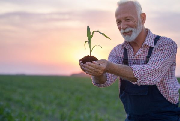 cultivos sanos agricultura sostenible sanidad vegetal sostenibilidad aepla