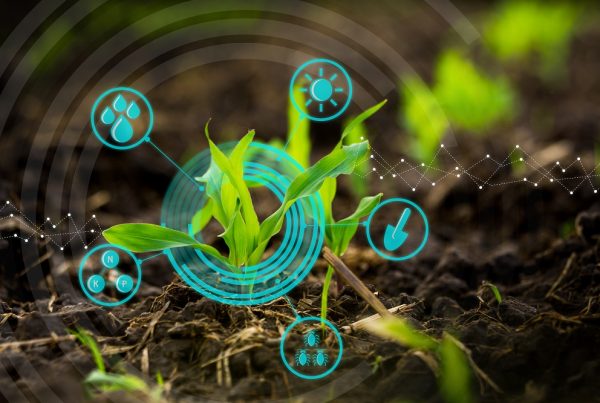 innovación en sanidad vegetal protección agricultura productos fitosanitarios aepla