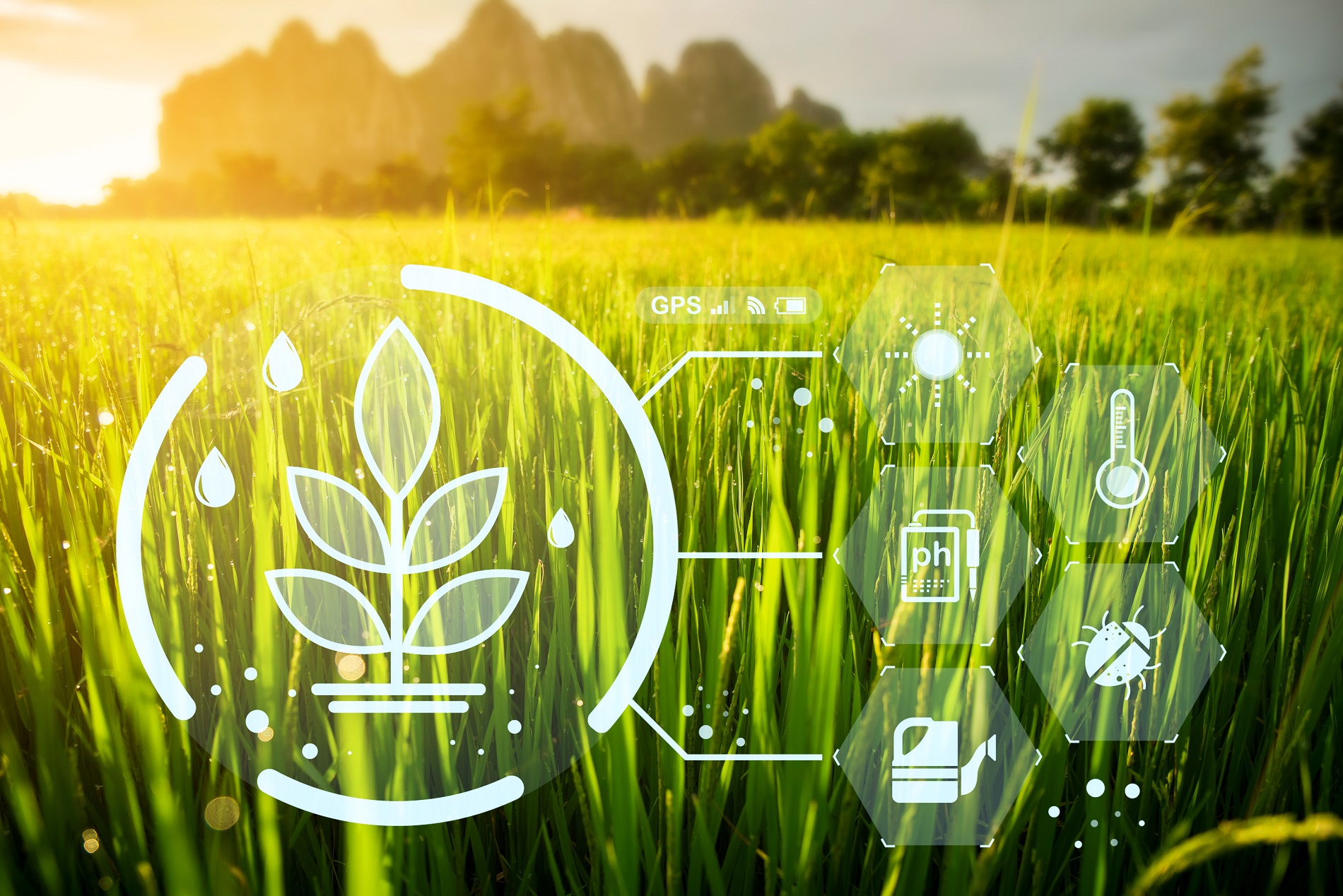 ¿Por qué es imprescindible la innovación en sanidad vegetal para el futuro de la agricultura?