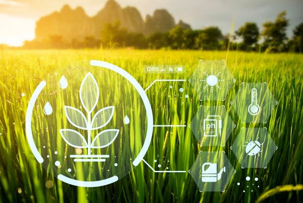 innovación en sanidad vegetal protección agricultura productos fitosanitarios aepla