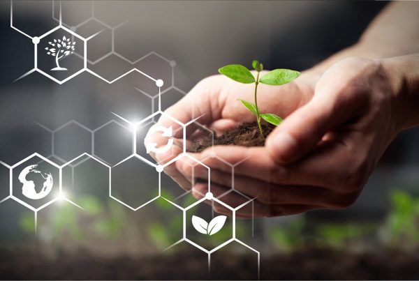 productos fitosanitarios i+d+i investigación y desarrollo laboratorio campo innovación sanidad vegetal agricultura aepla