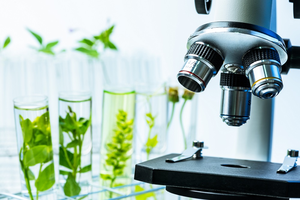 productos fitosanitarios I+D+i investigación y desarrollo laboratorio campo innovación sanidad vegetal agricultura aepla