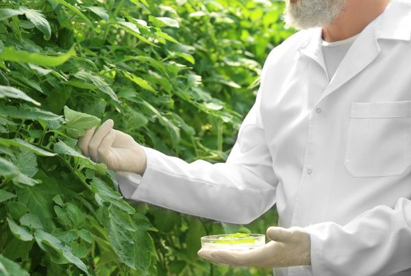 evidencia científica sector agrícola información contrastada agricultura sanidad vegetal productos fitosanitarios aepla