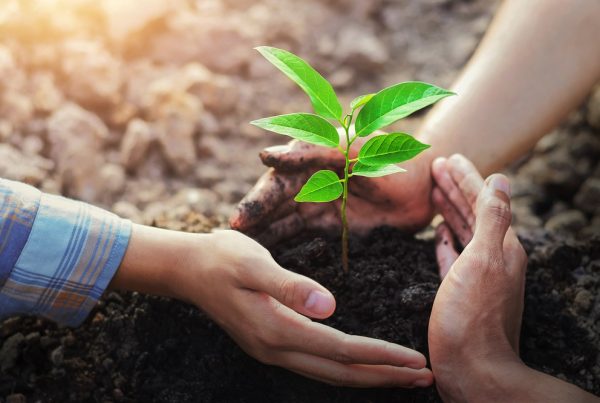 compromisos 2030 industria fitosanitaria europea sanidad vegetal innovación economía circular protección personas medio ambiente agricultura aepla