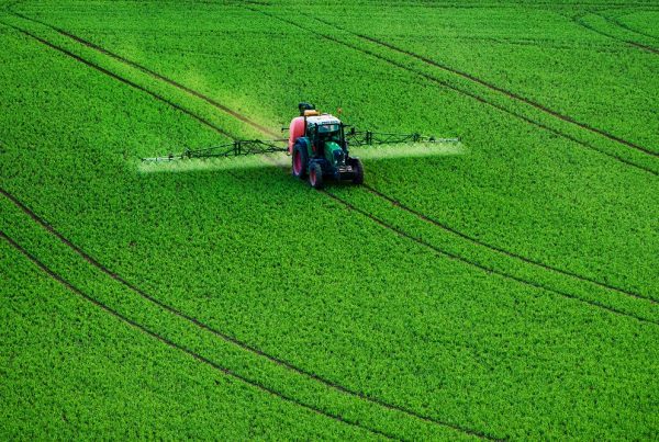 plagas y enfermedades prevención daños cultivos sanidad vegetal tratamientos fitosanitarios Gestión Integrada de Plagas agricultura aepla