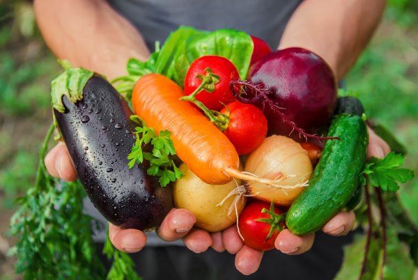 sanidad vegetal alimentación segura alimentos saludables agricultura protección de cultivos aepla