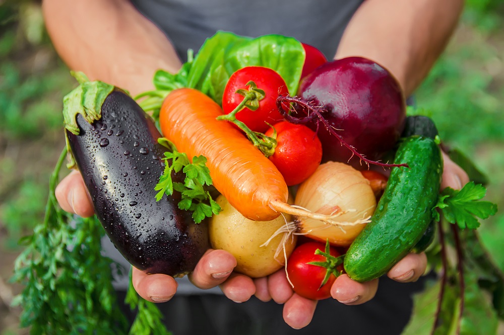 sanidad vegetal alimentación segura alimentos saludables agricultura protección de cultivos aepla
