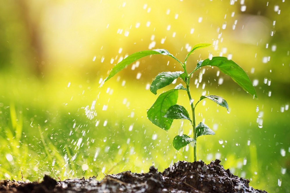 reducir riesgo contaminación aguas buenas prácticas agrícolas prevención vertido accidental protección del entorno sanidad vegetal agricultura aepla