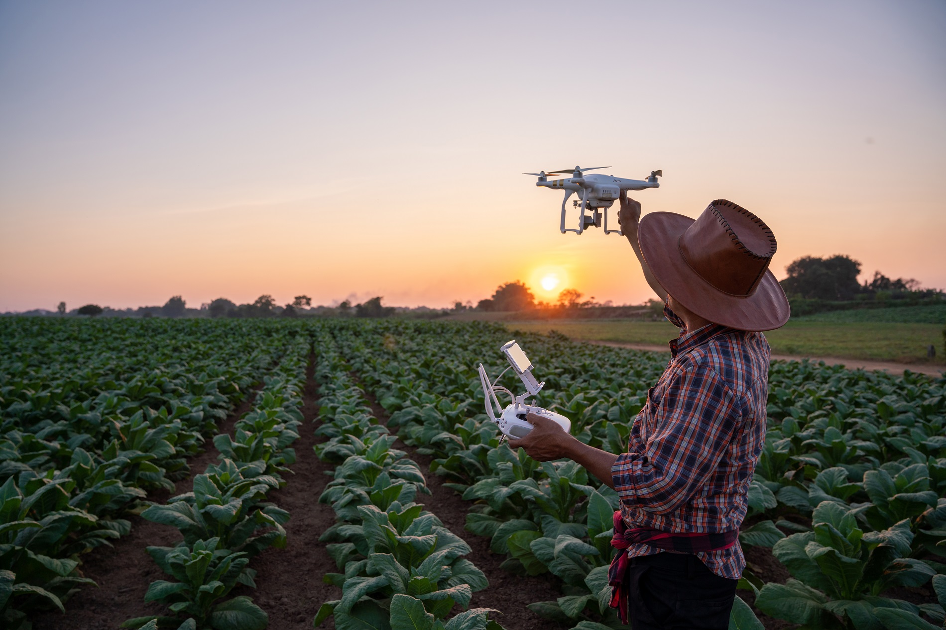 El Reto De La Digitalización De La Agricultura - Blog Aepla