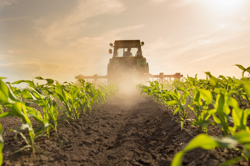protección de cultivos sanidad vegetal agricultura tratamientos fitosanitarios alimentación desarrollo rural desperdicio alimentario aepla