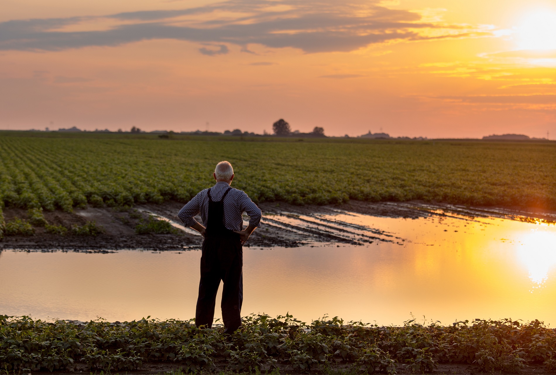 Buenas prácticas agrícolas: ¿Cómo favorecer la protección de masas de agua próximas a tu parcela?