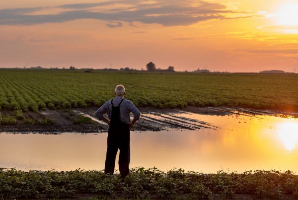 masas de agua buenas prácticas agrícolas protección de cultivos escorrentía erosión agricultura sanidad vegetal aepla