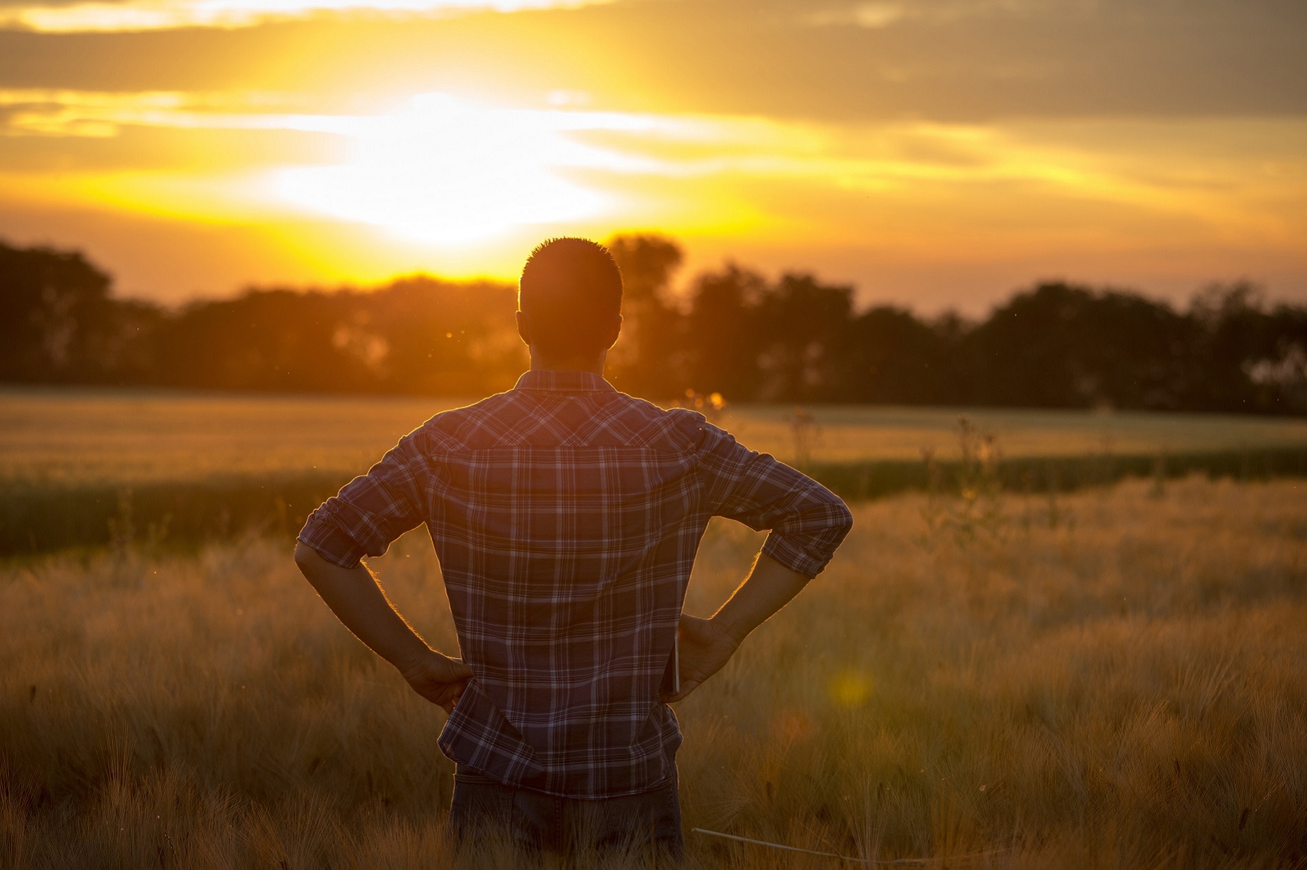 ¿Qué retos y desafíos debemos afrontar para contribuir a un mejor futuro de nuestra agricultura?