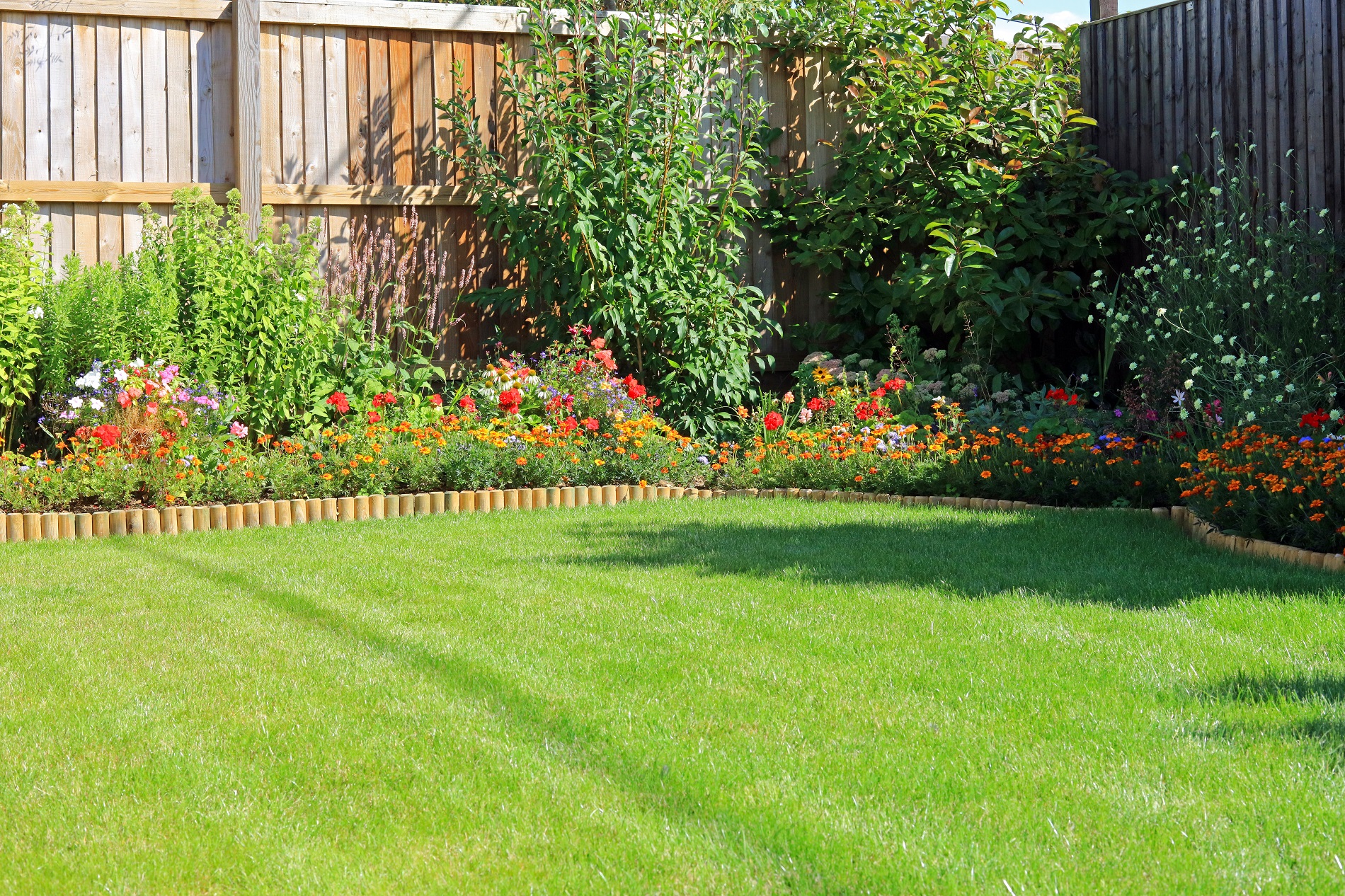 Planta cara al calor en el mantenimiento de tu jardín durante los meses de verano