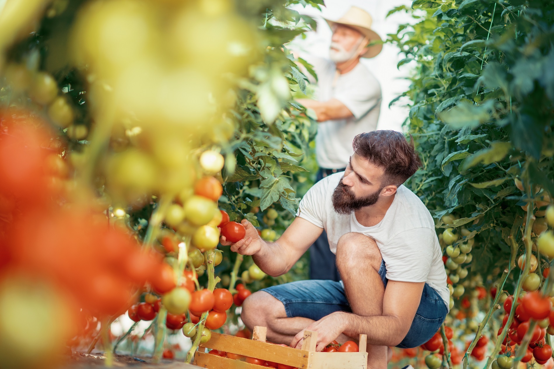 La agricultura familiar como pilar básico para garantizar nuestro bienestar