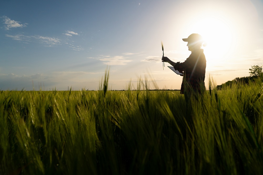 fitosanitarios aplicación sanidad vegetal buenas prácticas agrícolas agricultura sostenibilidad seguridad aepla