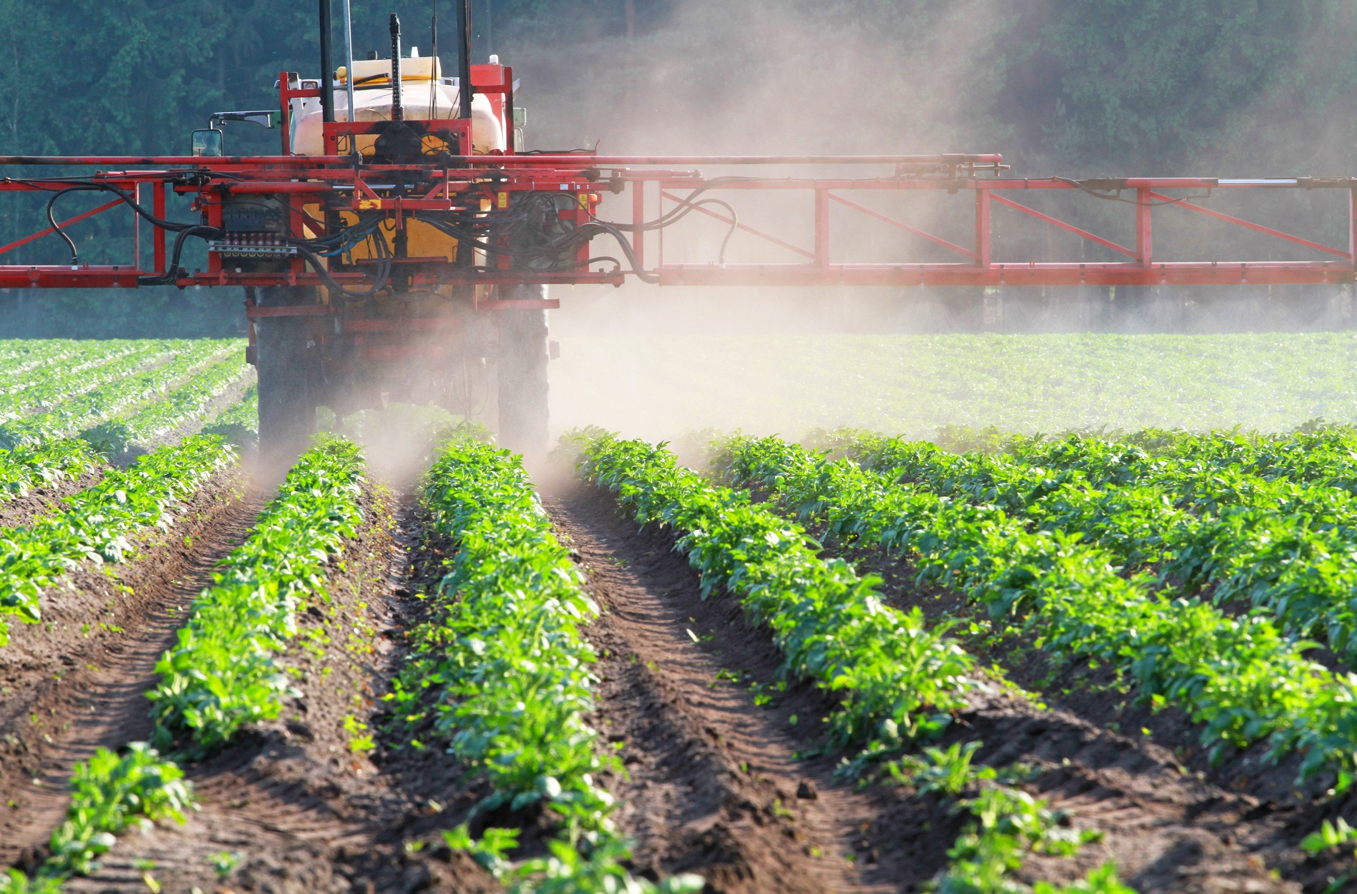 Buenas prácticas agrícolas: ¿Qué hacer con los excedentes de fitosanitarios empleados en tus cultivos?