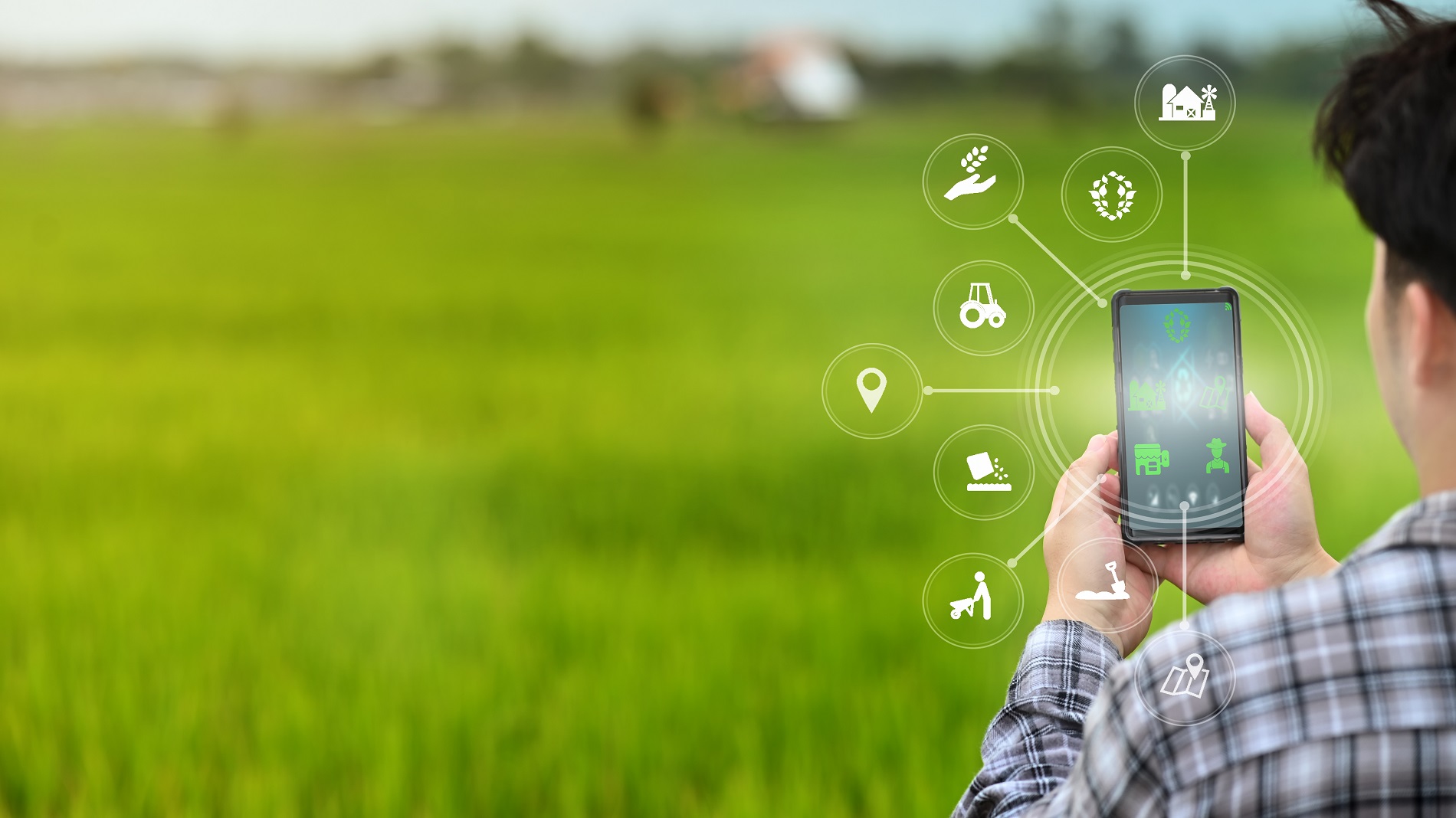 La digitalización como mecanismo para la modernización y desarrollo del sector agrícola