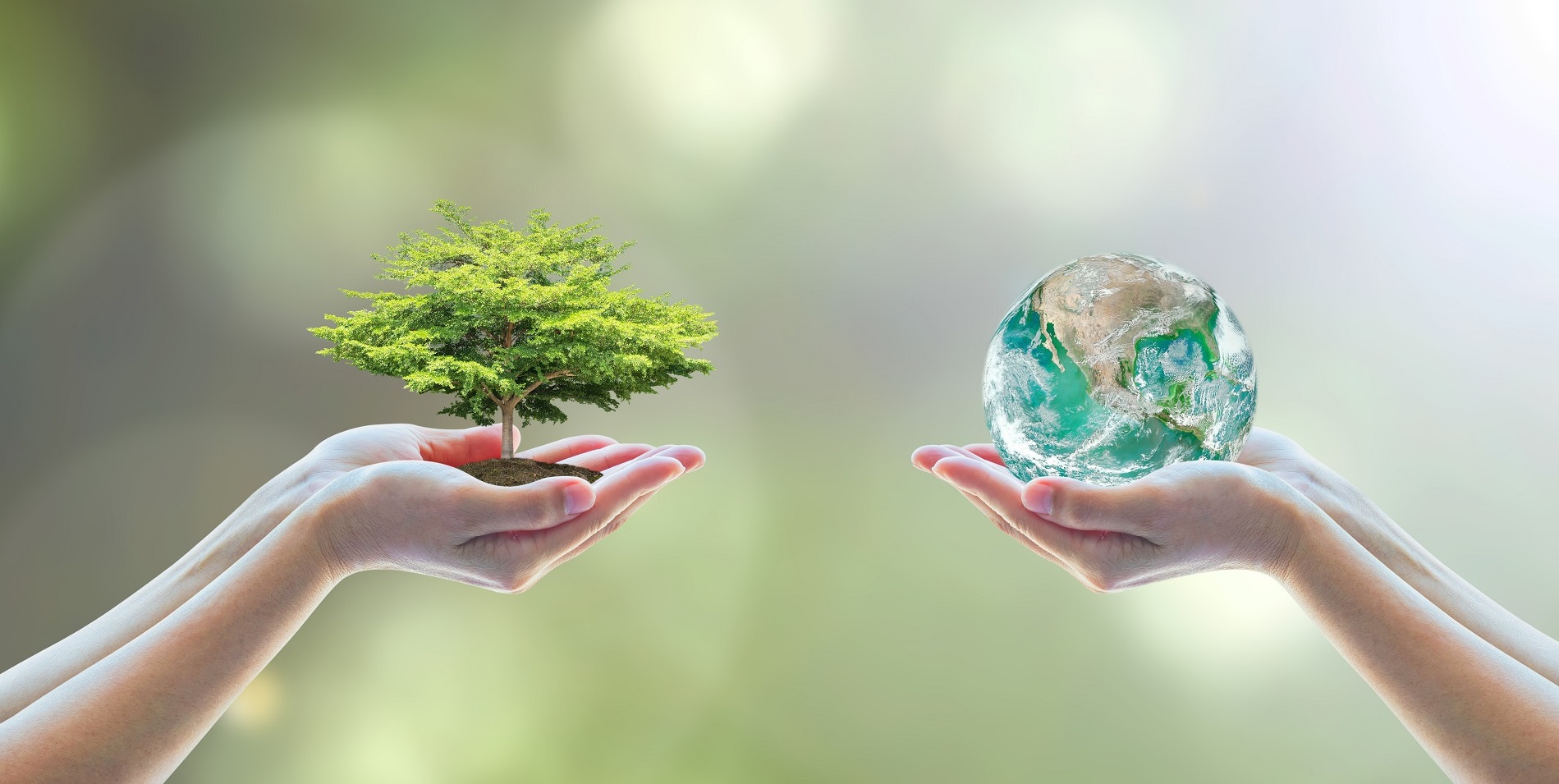 La educación ambiental como instrumento básico para proteger nuestro entorno