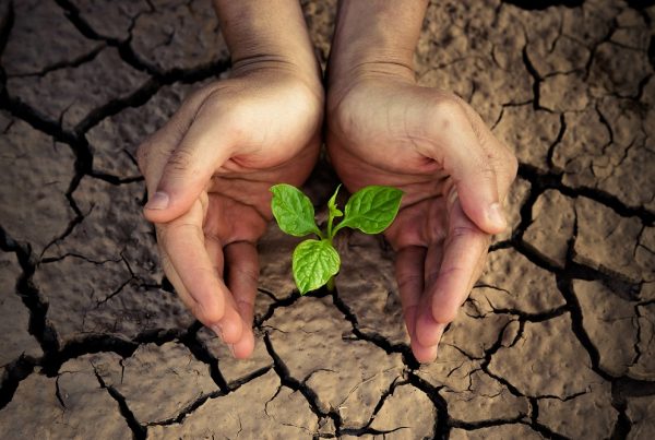 buenas prácticas agrícolas sostenibilidad cambio climático agricultura sostenible sanidad vegetal aepla