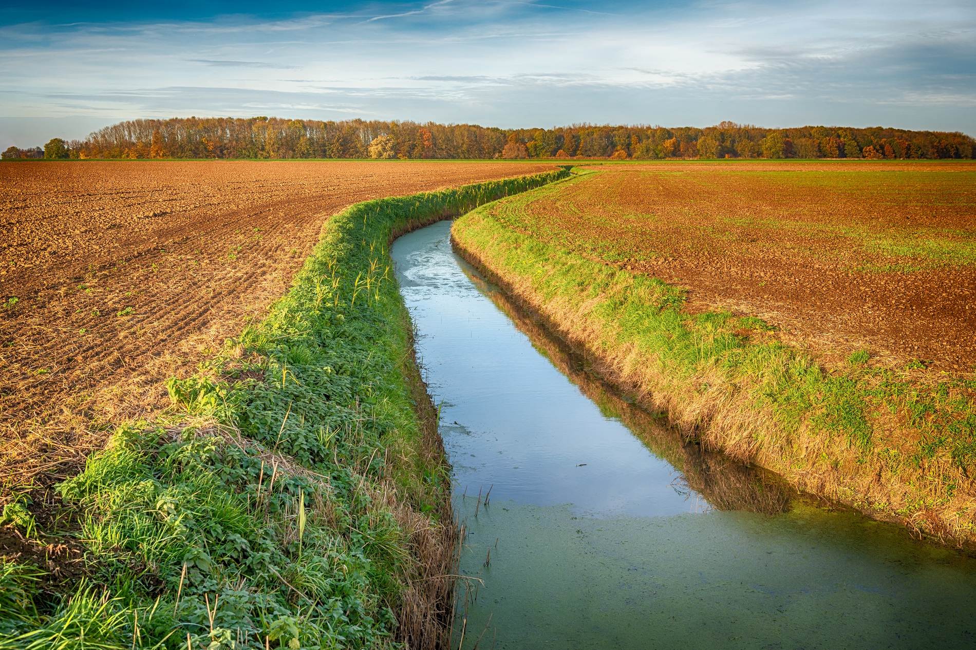 Buenas prácticas agrícolas: Protección de masas de agua disponibles en tu parcela