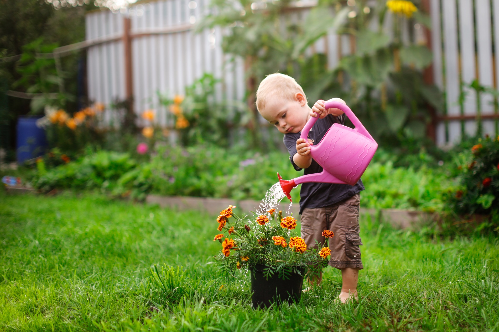 ¿Qué cuidados deberías aplicar a tu jardín con la llegada de las altas temperaturas?