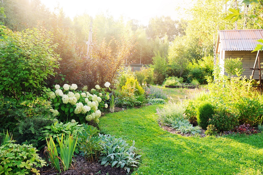 ¿A qué amenazas debes prestar una especial atención en tu jardín durante el verano?