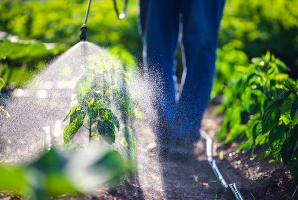equipos de protección individual EPIs limpieza protección integral consejos de limpieza seguridad aplicación tratamientos fitosanitarios sanidad vegetal agricultura prevención de riesgos aepla