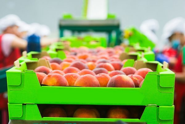 transporte buenas prácticas agrícolas frutas verduras seguridad alimentaria alimentos sostenibilidad sanidad vegetal agricultura aepla
