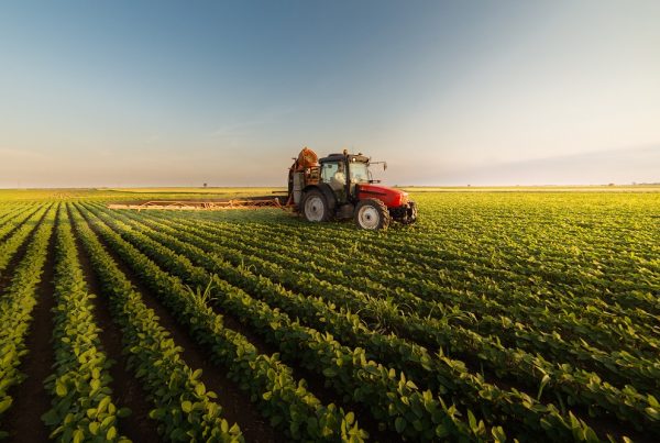 salud de tus cosechas protección de cultivos sanidad vegetal agricultura sostenible tratamientos fitosanitarios alimentación aepla