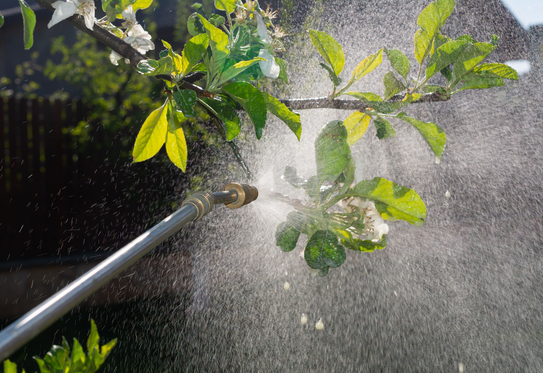 ¿Cómo realizar una limpieza adecuada de tus equipos de aplicación de productos fitosanitarios?