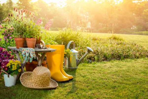 beneficios jardinería espacios verdes jardín doméstico hábitos saludables sanidad vegetal Áreas Verdes AEPLA