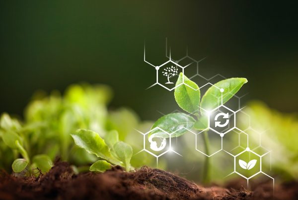 innovación en sanidad vegetal protección agricultura sostenible productos fitosanitarios aepla