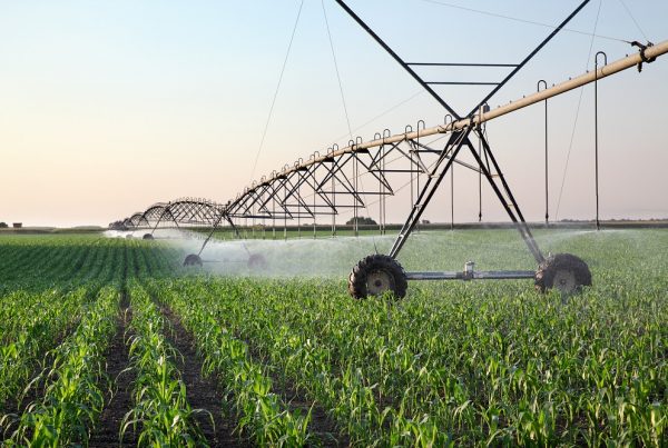 agua de riego buenas prácticas agrícolas sanidad vegetal agricultura sostenible aepla