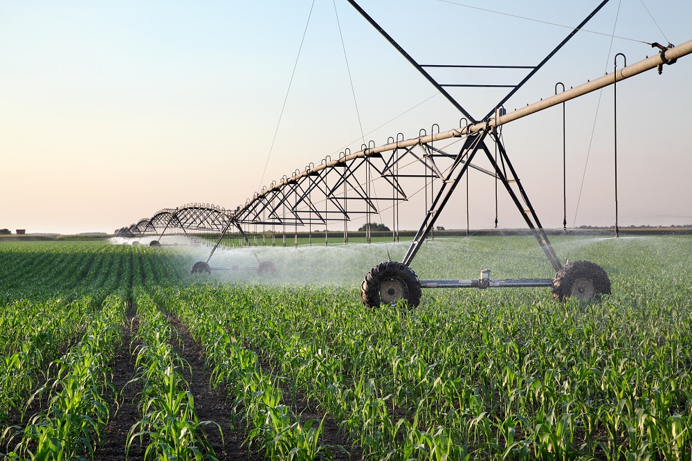 ¿Cómo aprovechar al máximo el agua de riego que aplicas a tus cultivos?