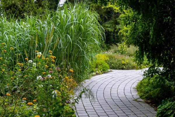jardín protección viento jardinería áreas verdes agricultura aepla
