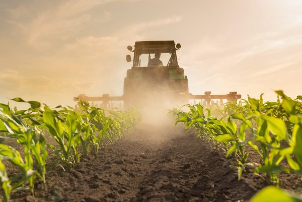 agricultura retos de futuro sanidad vegetal seguridad alimentaria objetivos de desarrollo sostenible aepla
